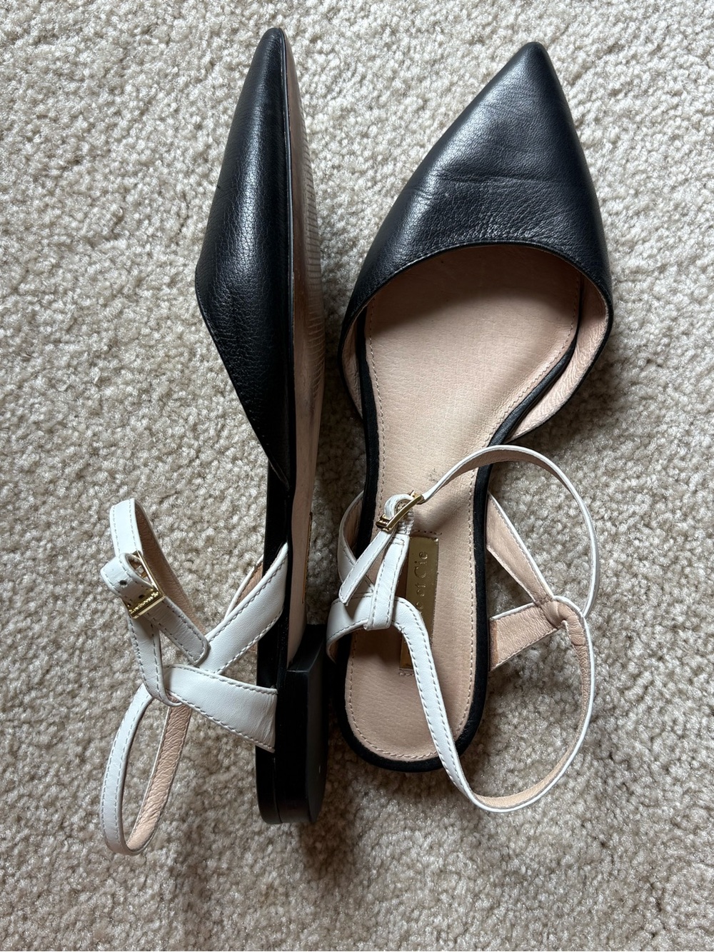 Black Pointed-Toe Slingback Flats with White Straps